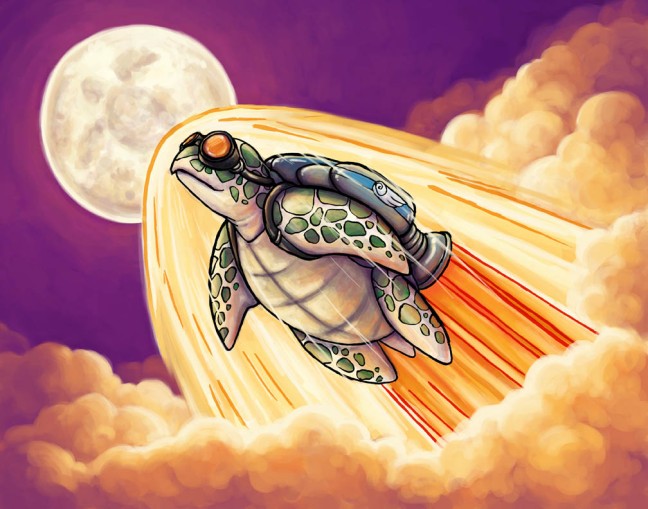 Song of the Space Turtle 2015